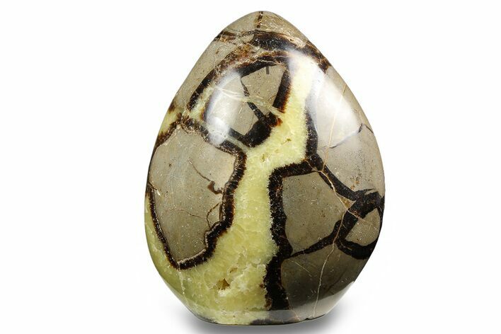 Free-Standing, Polished Septarian - Madagascar #258648